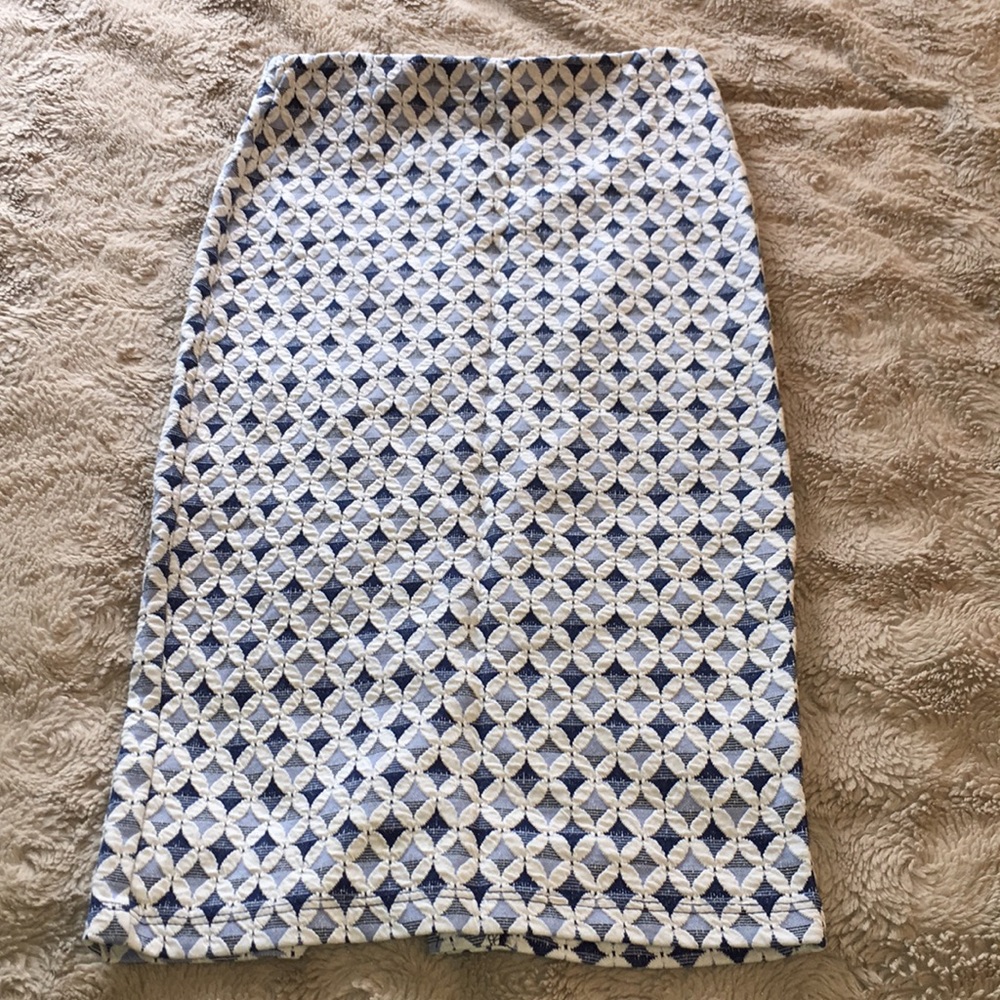 Zara High-Waisted Pencil Skirt